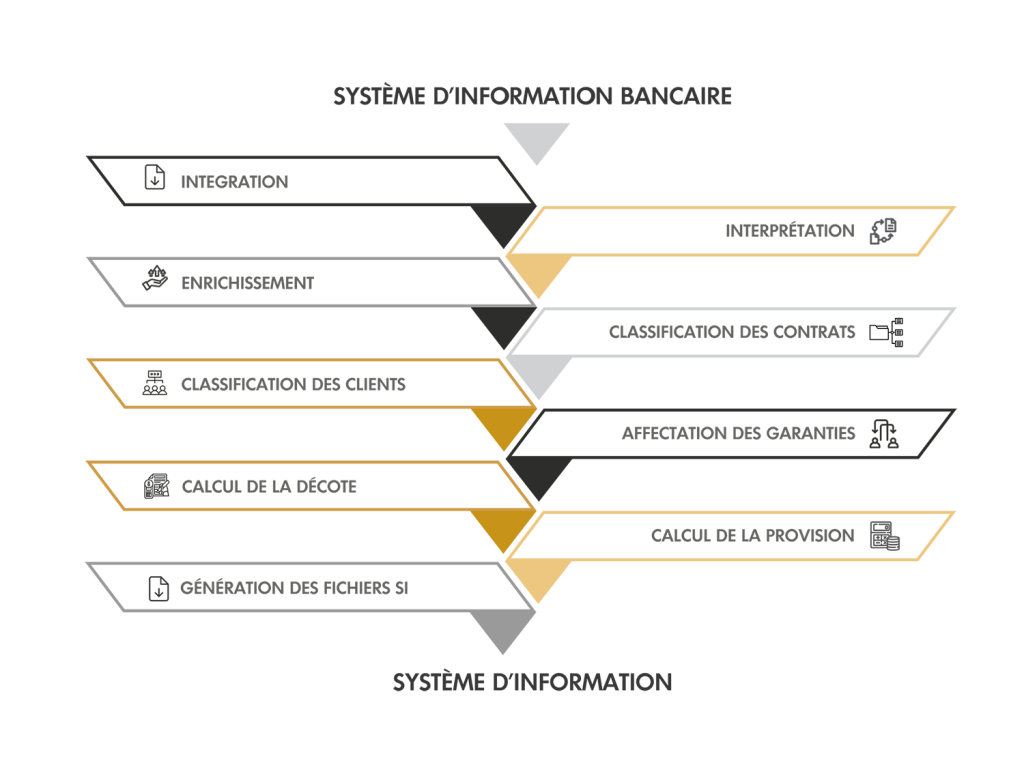 CDL@4x copy CDL@4x copy